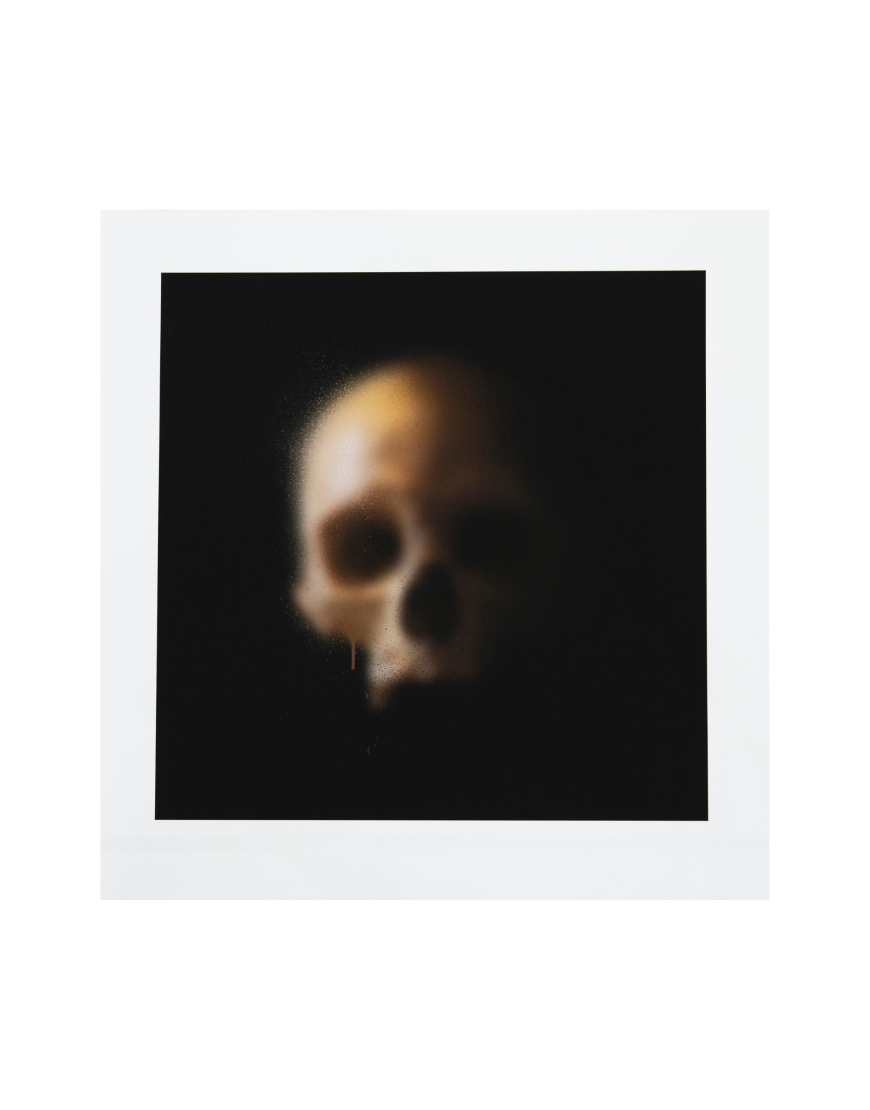 Skull