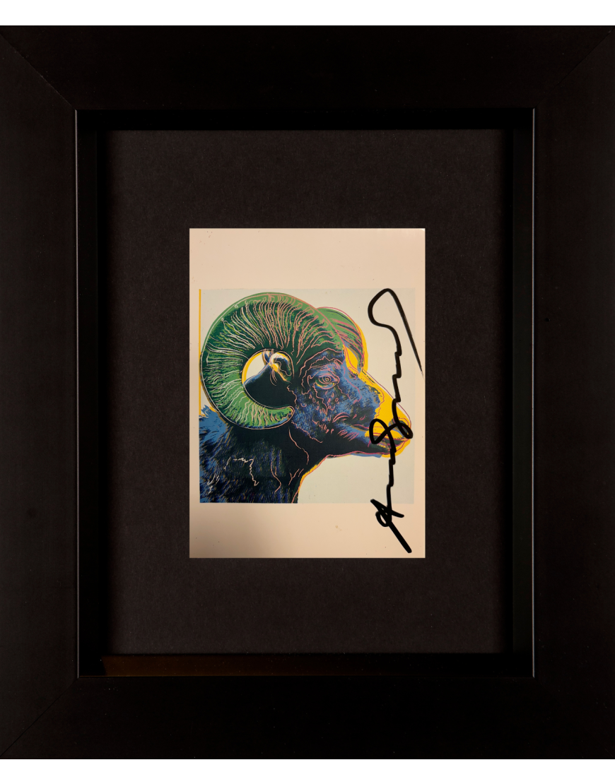 Bighorn Ram - Invitation Card