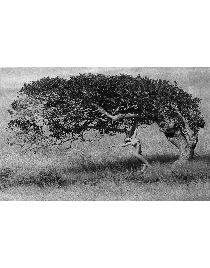 Ashley Richardson (St. Barth), 1984