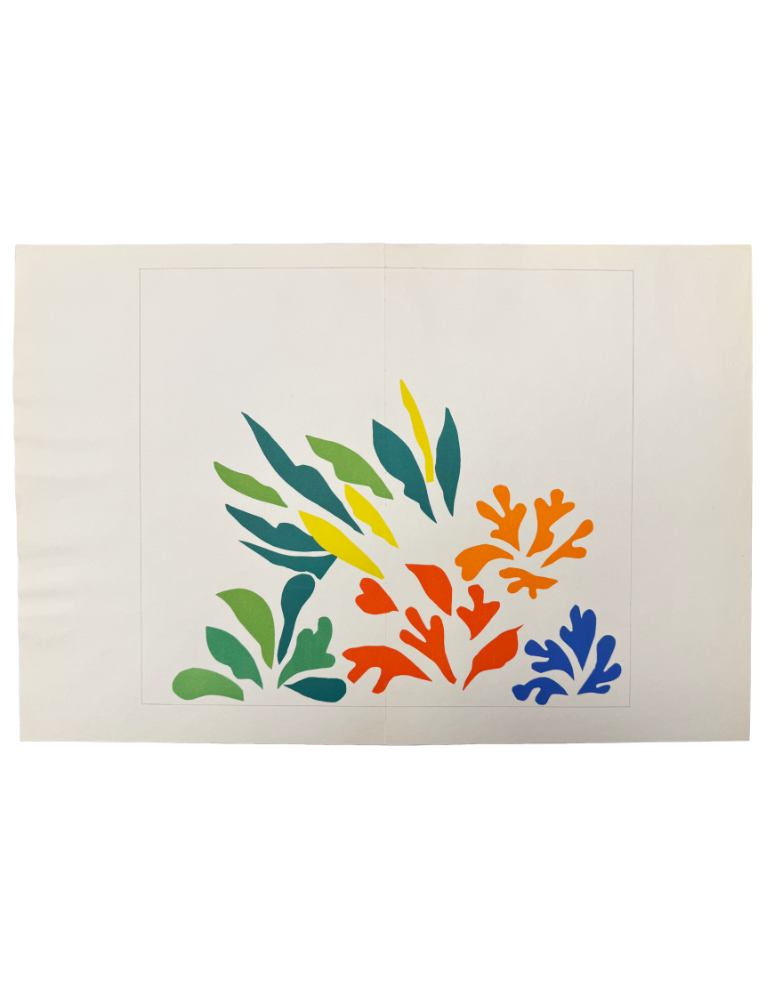 Acanthes