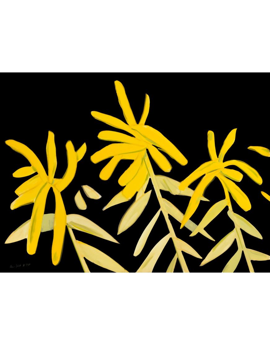 Goldenrod (from Flowers)