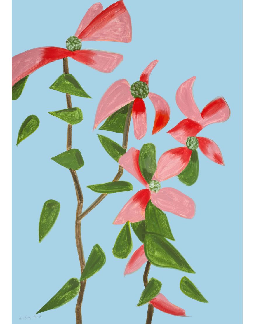 Red Dogwood 2 (from Flowers)