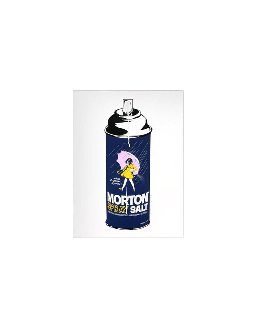 Morton Spray Salt