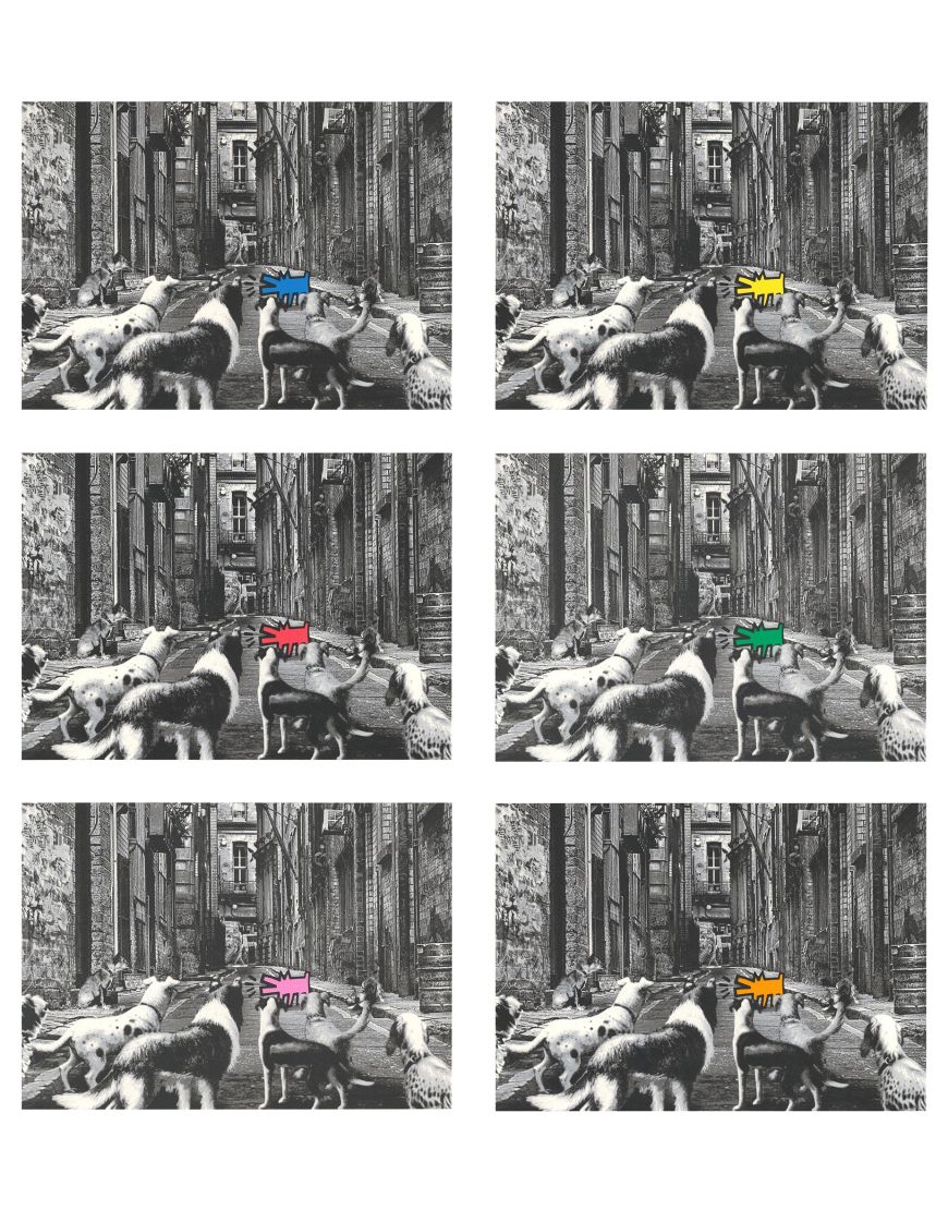 Alley Dogs - Set complet