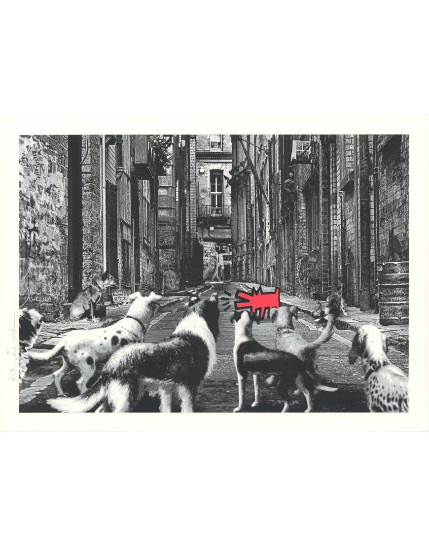 Alley Dogs - Rouge