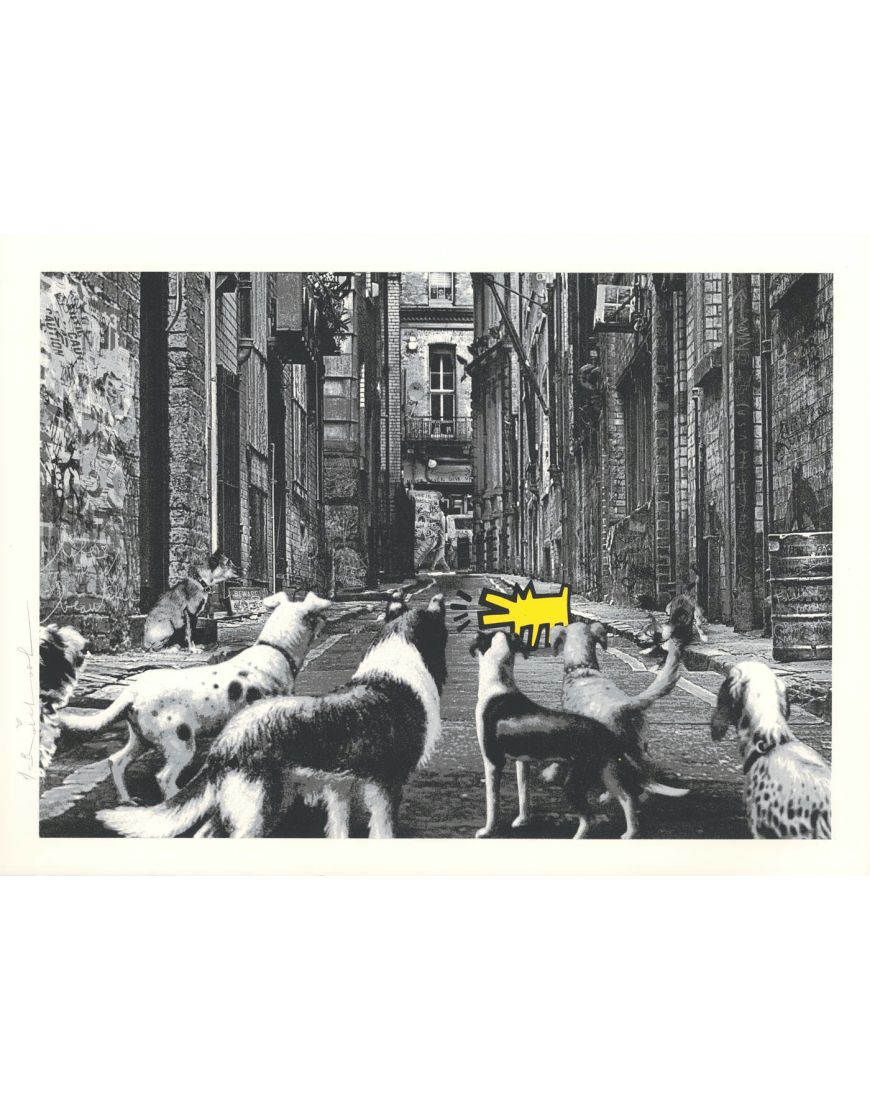 Alley Dogs - Jaune