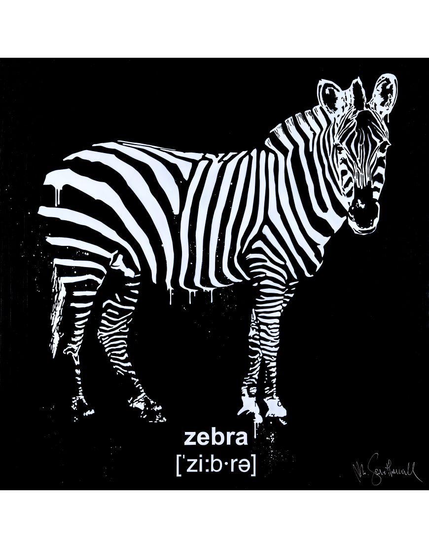 Zebra