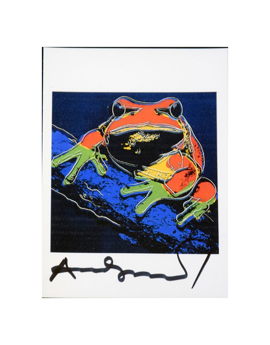 Pine Barrens Tree Frog - Invitation Card