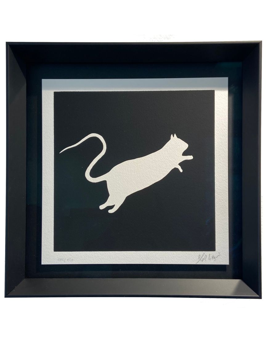White rat (on black background)