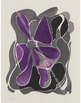 Fleurs violettes
