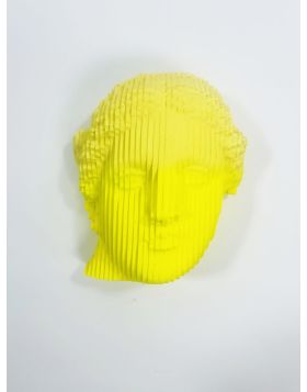 Venus on the Wall (Yellow)
