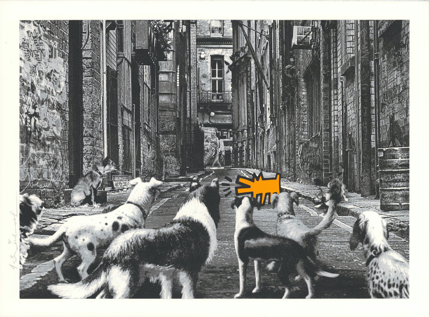 Alley Dogs - Orange