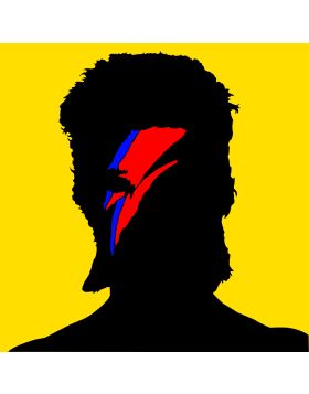 Unmistakable David