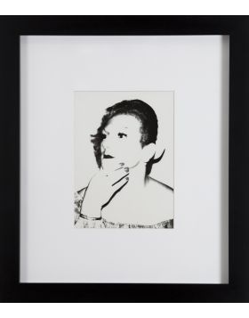 Ladies and gentleman - Warhol