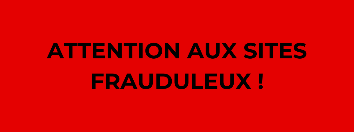 Comment reconnaître un site d'escroquerie par rapport à un site d'œuvres d'art authentiques certifiées Deodato Arte