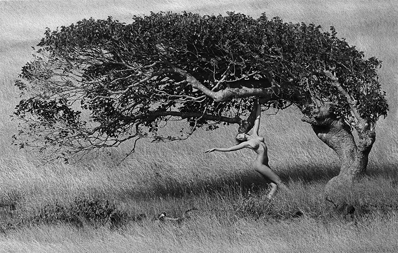 Marco Glaviano : a life of photoshoots | 13/10 - 13/11