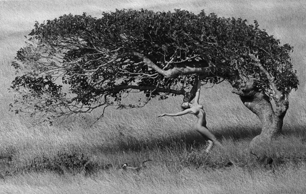 Ashley Richardson (St. Barth), 1984