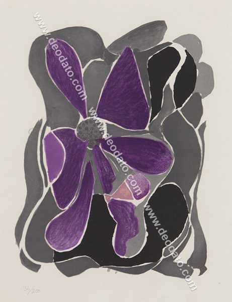 Fleurs violettes