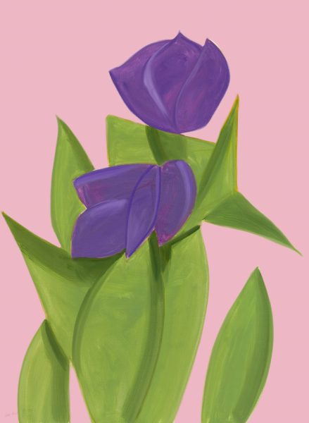 Purple Tulips 2 (from Flowers)