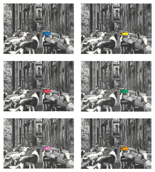 Alley Dogs - Set complet