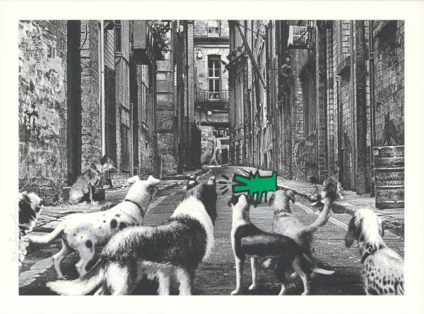 Alley Dogs - Vert