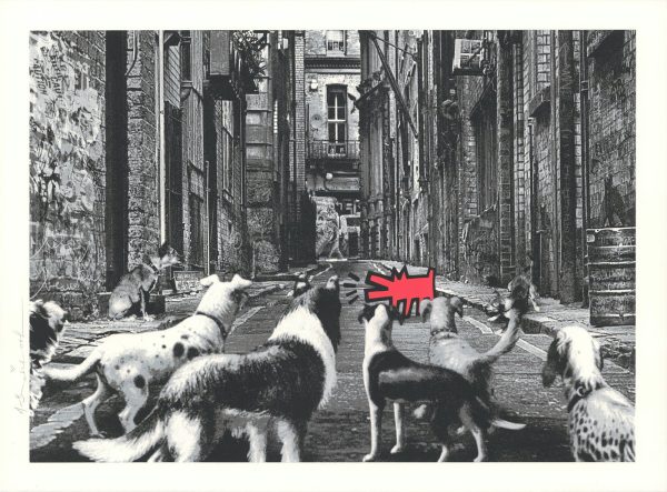 Alley Dogs - Rouge