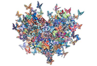 David Kracov